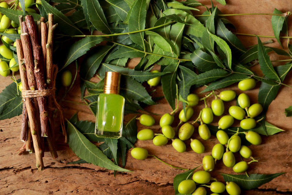 Neem Oil Extract