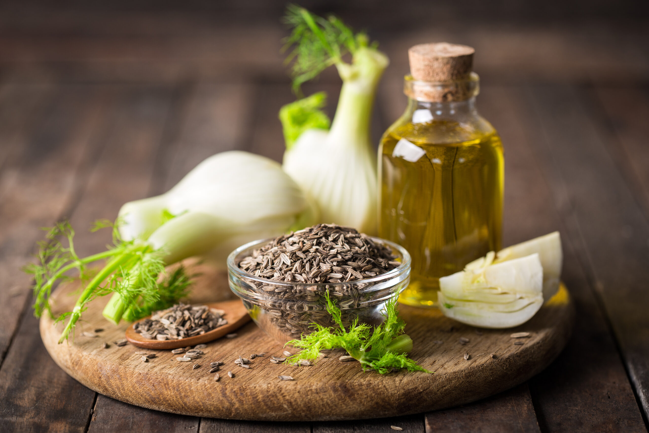 Fennel Extract (Oil and Powder)