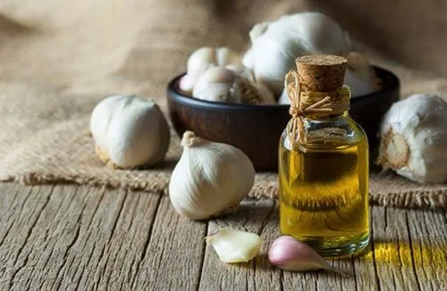 Garlic Extract (Oil & Powder)